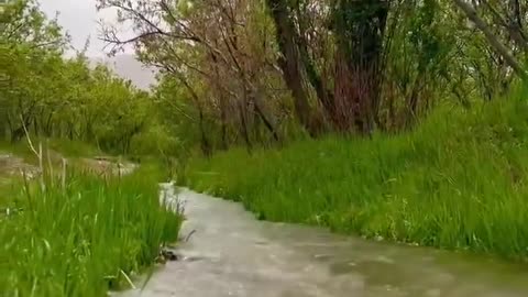 Welcome to Switzerland