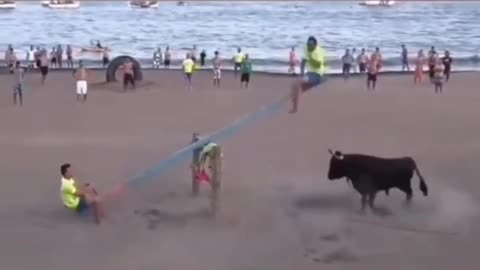what the cow wants to do
