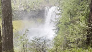 Exploring the Koosah Falls Lookout Area – McKenzie River – Central Oregon – 4K