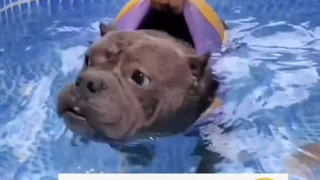 Looking at the shadow man who was leaving here in astonishment