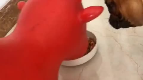 Do not mess with me!