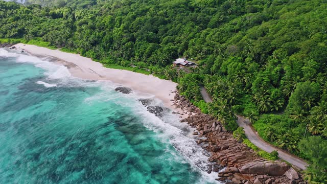 beach houses near forest