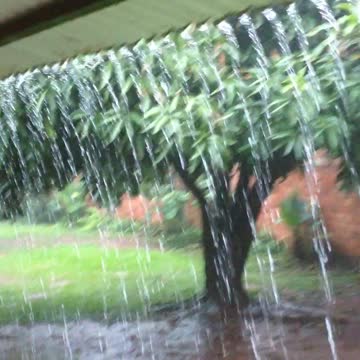 Paraguay Rain.