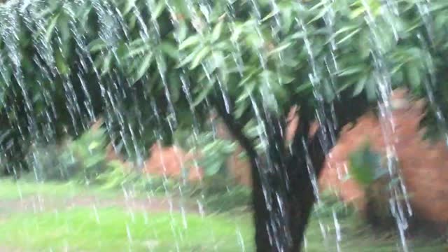 Paraguay Rain.