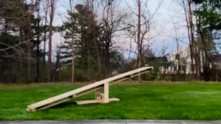 DIY MTB teeter-totter