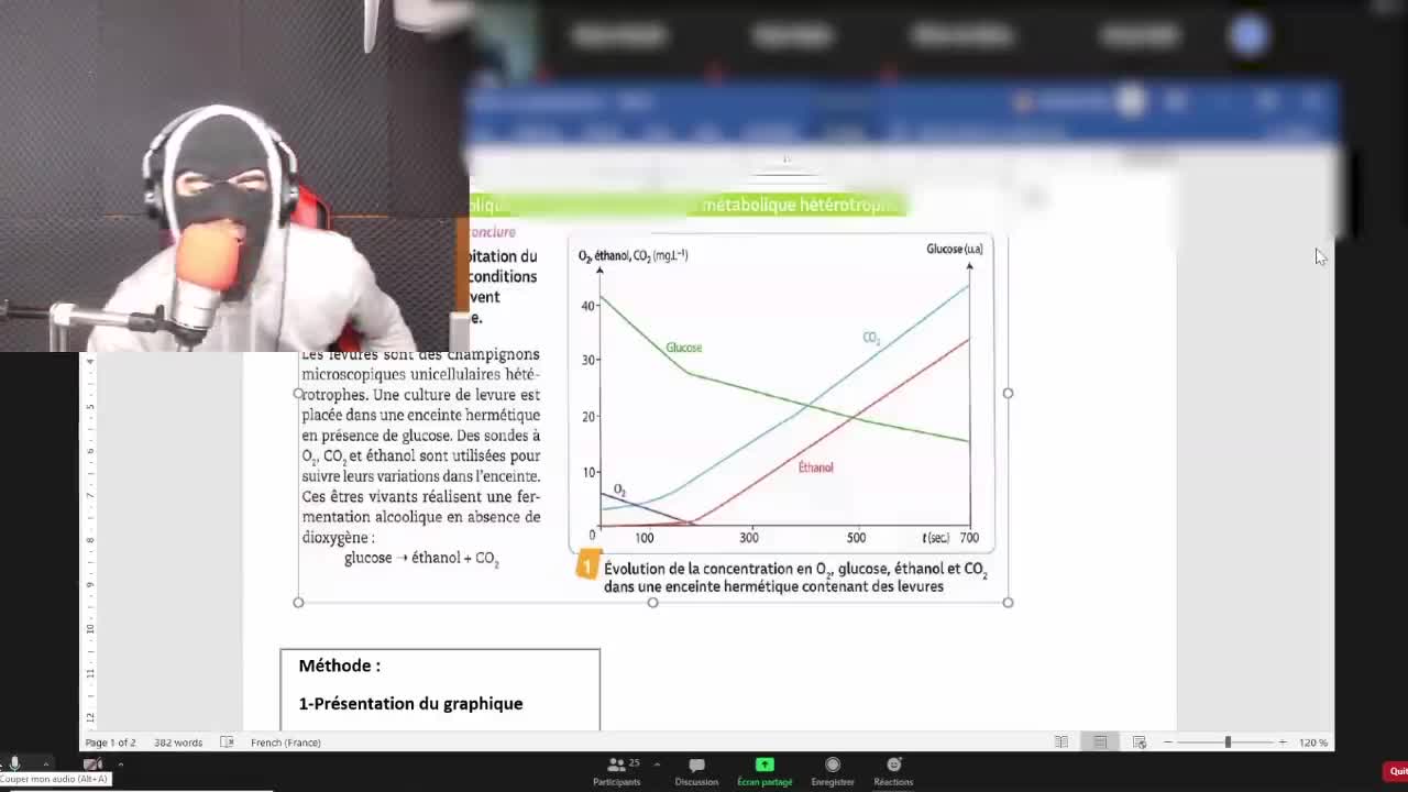 La cagoule - ( Je suis un robot de l'état français )