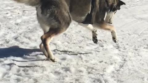 Snow Ball Catch Slow-Mo