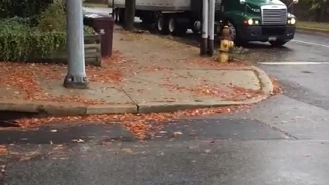 Truck Versus Tree