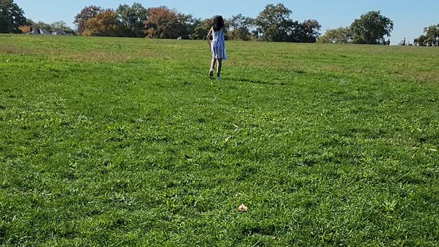FLYING KITE IN CUNNINGHAM PARK NYC