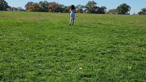 FLYING KITE IN CUNNINGHAM PARK NYC