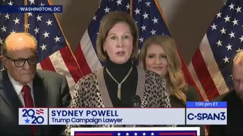 Sydney Powell Press Briefing