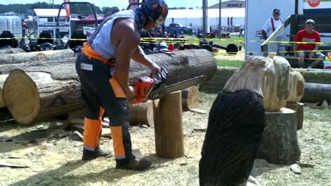 Creating Wood Art with Grinder & Chain Saw