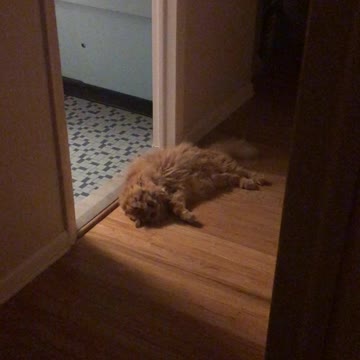 Carson H. Happy we're home.