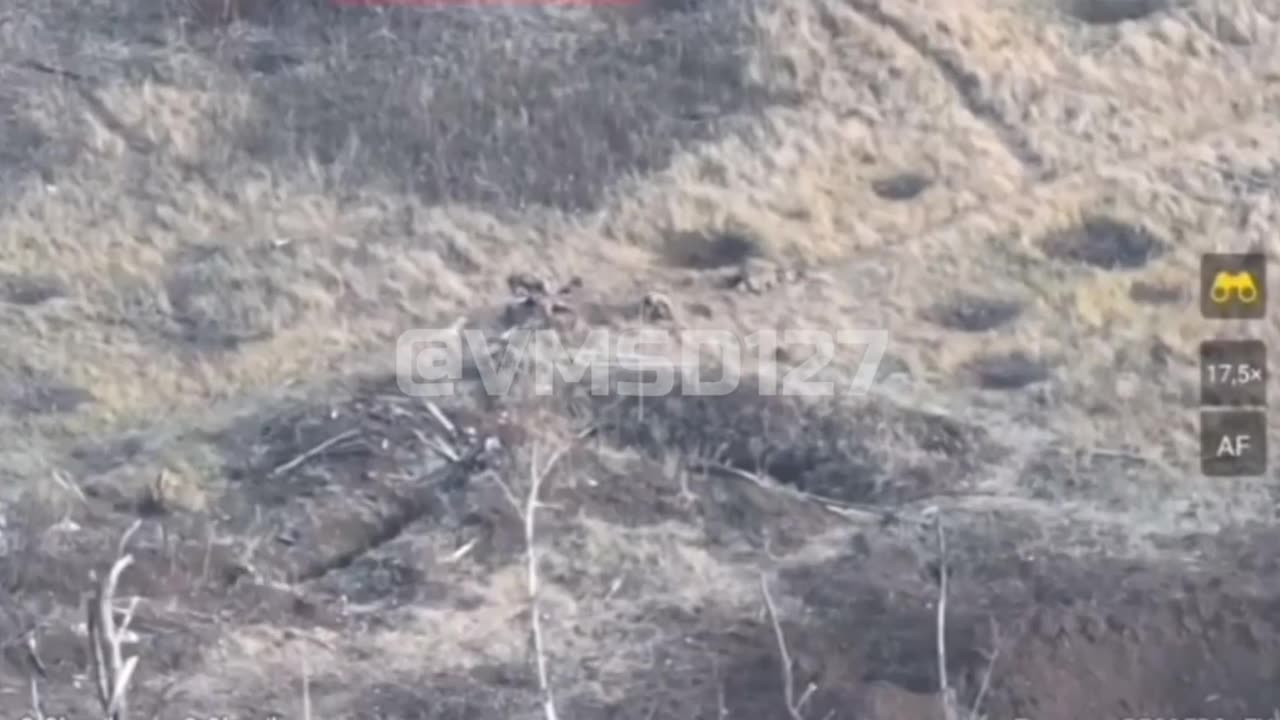 Russian FPV drone attacks evacuation of wounded Ukrainian soldiers, Staromaiors'ke direction.