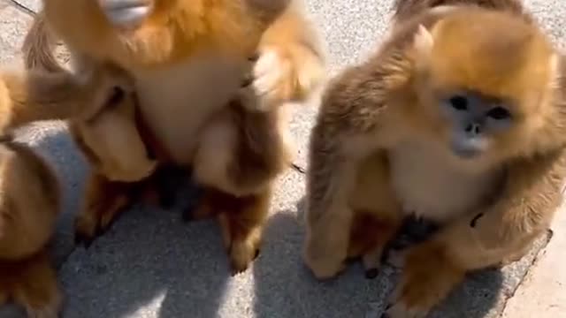 Don't go. Give us something to eat