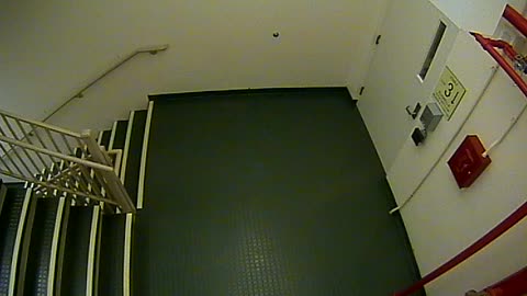 8403OHOB03Stair4_2021-01-06_16h54min00s680ms.mp4