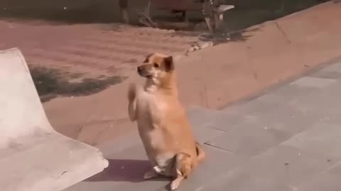 Funny 😁😁😁😁😁😁