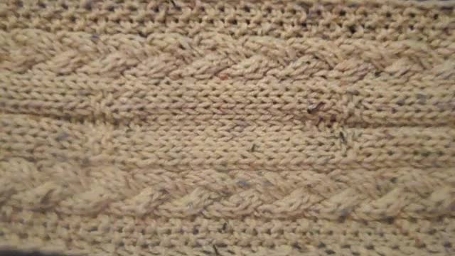 DES520 Red Heart Super Saver Buff Fleck 6' $17