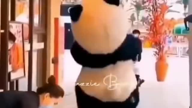 Funny cute panda video