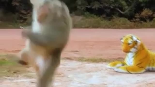 Comedy video scenes 😂😂😛😛