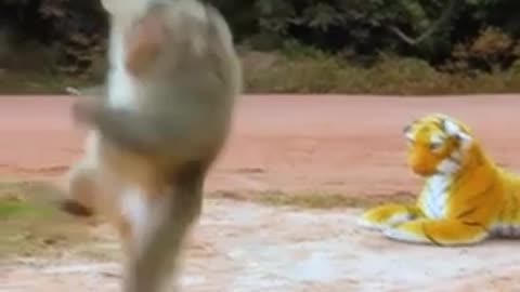 Comedy video scenes 😂😂😛😛