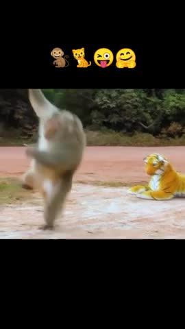 Comedy video scenes 😂😂😛😛