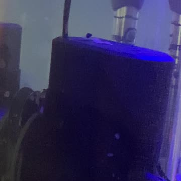 Our fish had a baby!