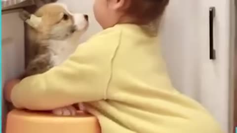 Why Children Should Grow Up With A Dog.