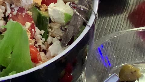 Locust Found in Salad