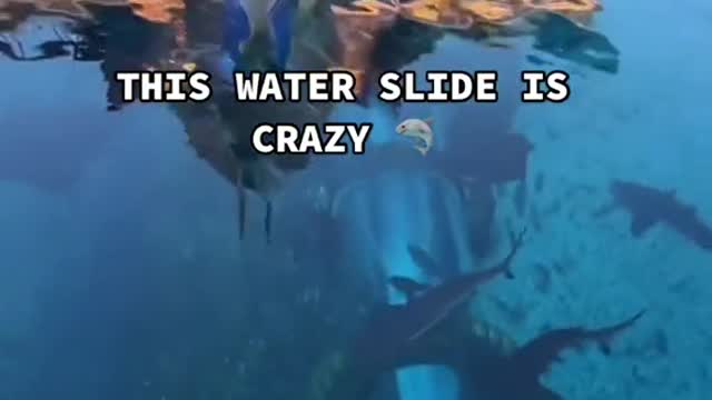 THIS WATER SLIDE IS CRAZY