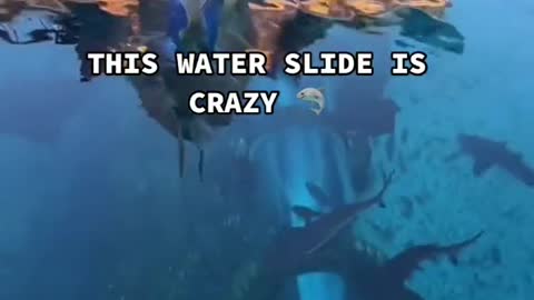 THIS WATER SLIDE IS CRAZY