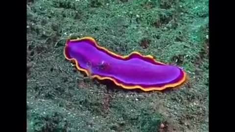 Time with God - November 13