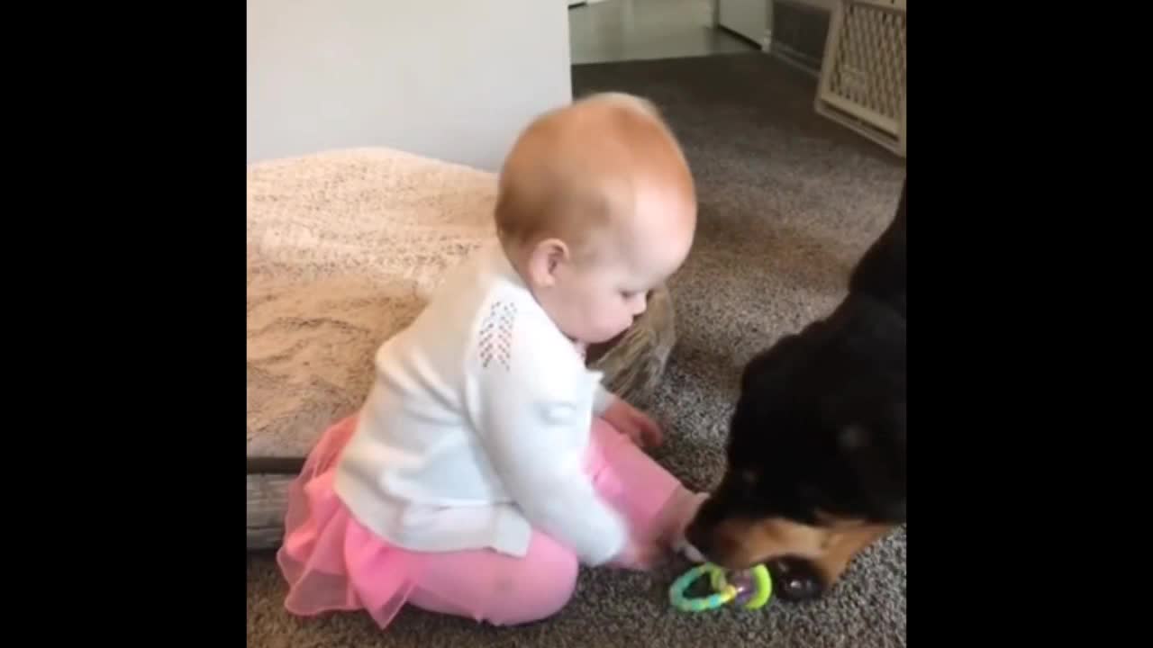 This cute baby enjoying with her dog