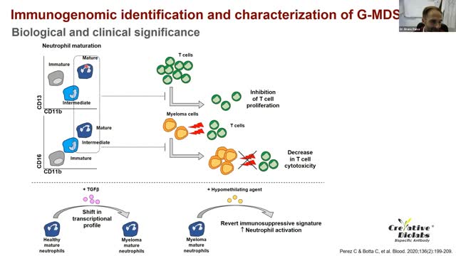 bispecific antibodies 2