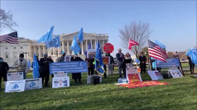 #99 International Human Rights Day: Designate China as an International Criminal Organization
