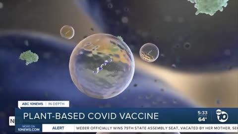 In-depth: plant-based COVID vaccine