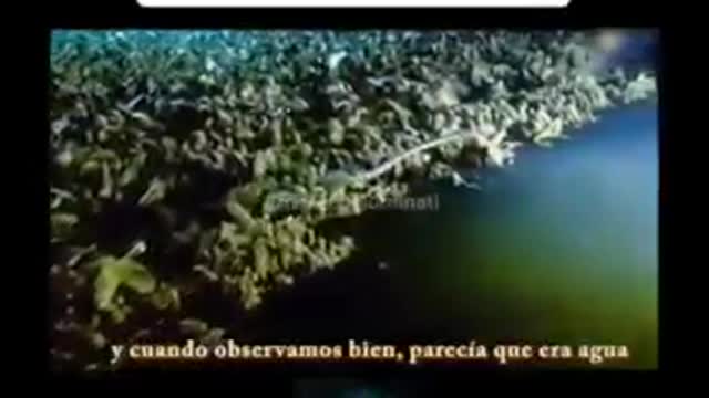 Mike de Gro Sees Lake Underwater. Check it Out