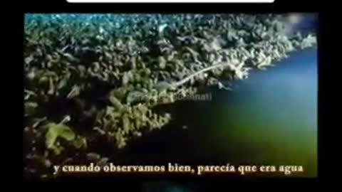 Mike de Gro Sees Lake Underwater. Check it Out