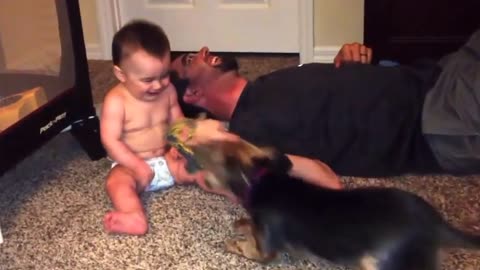 So funny video dog and baby beautiful