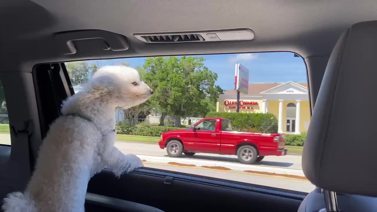 Theo driving