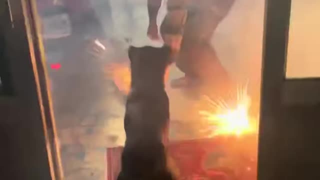 Dog Brings Sparkler Inside