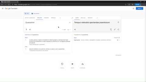 Google Translate quarantine