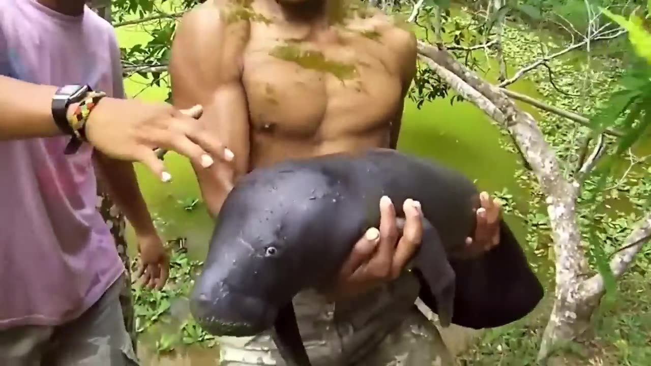 পশুদের আজব কর্মকান্ড ক্যামেরায় ধরা পড়া🙉Funny Animal video 2022। mayajaal। Bangla facts show-(part-1)
