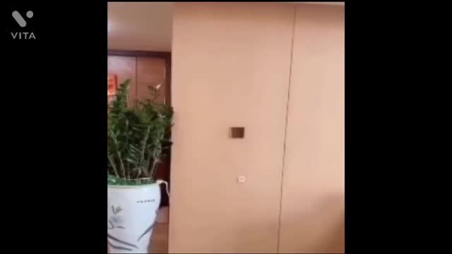 Full comedy video in English fun