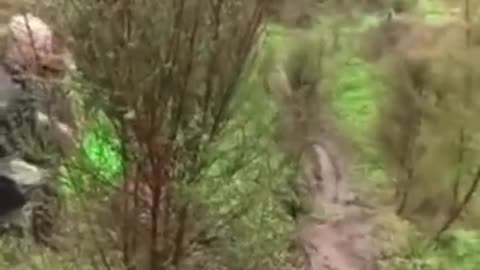 Funny mud slide down the hill