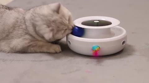 Cat Interactive Toys for Indoor