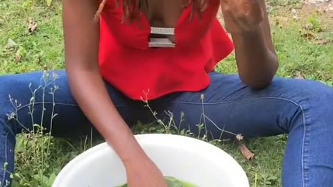 Jamaica’s King of the Forest Herb: Reigning Supreme in Herbal Soaps