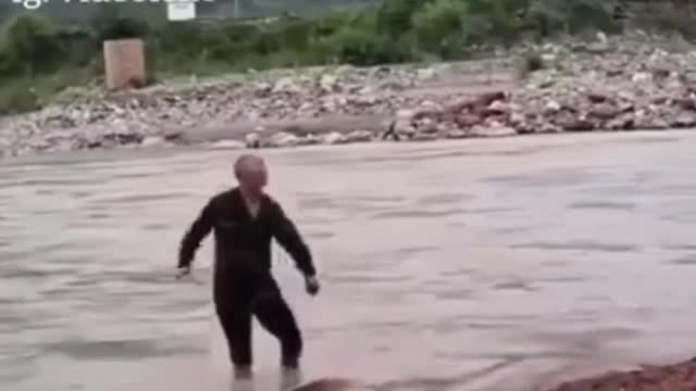 dog messes with the owner