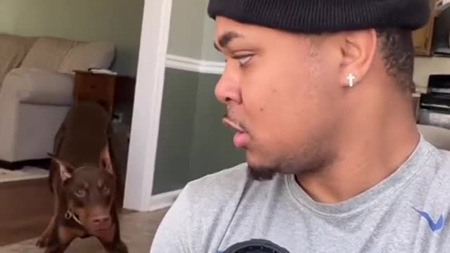 Wooooh so much fun with this dogs 😂😂😂