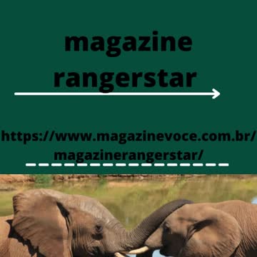 o Verde e Rosa Logo Minimalista.mp4 loja rangerstar